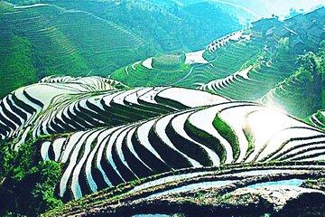 One Day Longji Rice Terraces Hiking and Minority Village Tour