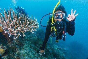 Advanced Open Water PADI Diving Course W/Transfer - Marsa Alam