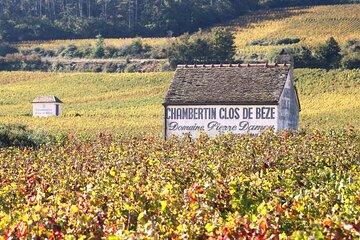 "Wine tasting tours in Burgundy"