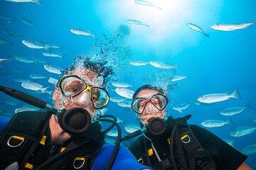 Hamata/Qulaan Islands Snorkeling, Diving Trip & Lunch -Marsa Alam