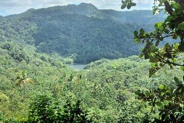 Millet Rainforest Hiking Experience