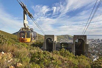 Exploration of Wonders Cape Town Nature City and Wine in 3 Days