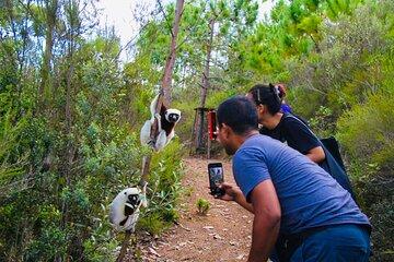 Day Tour from Tana: to Mantasoa Lake & Nosy soa Park