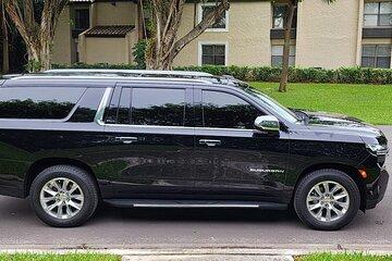 Private Port Canaveral Transfer to and from Orlando Intl Airport