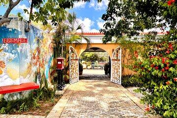Guided Art Heritage Nature Tour