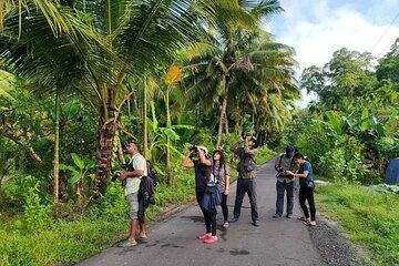 Kalapathar Sunrise, Birdwatching and Village Tour