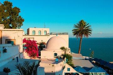 Tunisia Tour: Carthage, Sidi Bou Said, and Bardo Museum