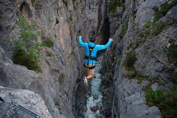 From Geneva: High-thrill Interlaken & Grindelwald Canyon Swing