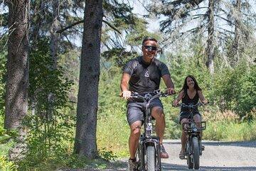 E-Bike rental - 4 hour and Hiking in the Park