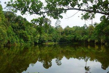 Discover Sandakan RDC with Shared Transportation and Guide