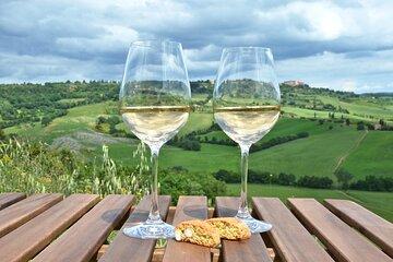 Sips & Scenery: Wine Tour from Ljubljana or Bled.