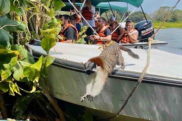 Gamboa and Mono Island Natural Experience