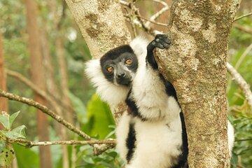 Private 3-Day Tour to Andasibe National Park