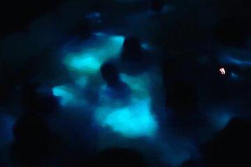 Bioluminiscense Night Tour