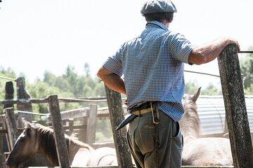 Three Days Tour In A Traditional Ranch Estancia La Pilona