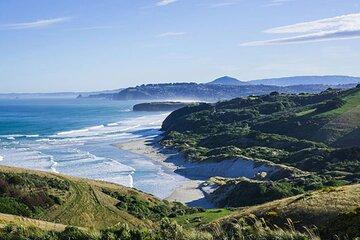 天际线 Dunedin City & Otago Peninsula Scenery Day Tour Sharing