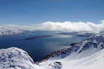 Arctic Coastline, Microbrewery and Culture Tour