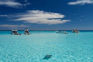 Grand Cayman 3-Stop Snorkel Adventure: Stingray City & Reefs Tour