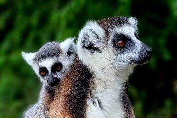 The South of Madagascar for 7 Days