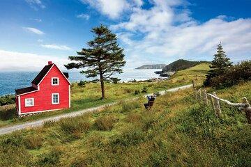 5 Day Eastern Newfoundland Tour