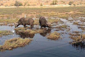 Sunrise Full Day Chobe National Park Game Drive and Boat Safari