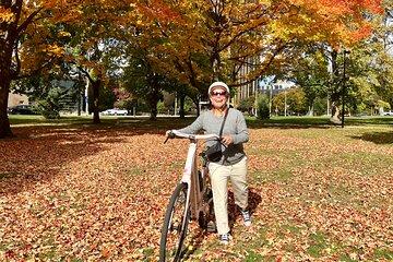 Old Milwaukee Guided E-Bike Tour
