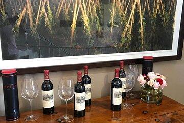 Stellenbosch, Franschhoek, Paarl 15 Wine Tasting Private Tour