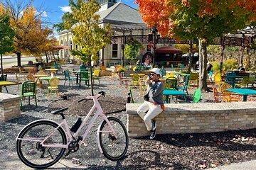 Milwaukee Guided E-Bike and Smörgåsbord Tour