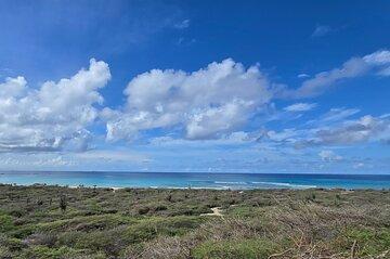 Semi-Private Malmok Noord Aruba coastal e-bike ride experience