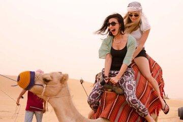 Agadir Camel Riding Tour with Mint tea and Moroccan Cakes