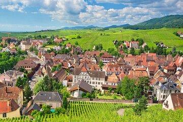 Alsace and Germany Full Day Private Wine Tour from Strasbourg