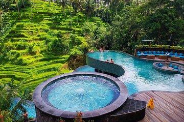 Ubud Monkey Forest Sanctuary Tours and Cretya