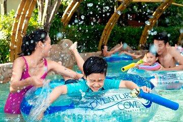Sentosa cable car skyhelix cove waterpark wings of show transfer