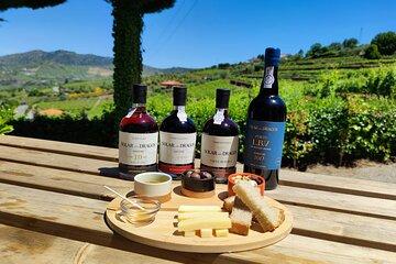 Douro and Port Wine Tasting in Douro Valley