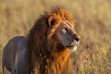 12 Days Private Camping Safari Tour from Arusha