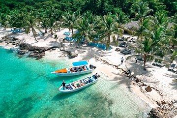 Isla Saona Wildlife Safari: Your All-Inclusive Escape
