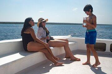 All-Inclusive Catamaran to Isla Saona: Drinks & Beach Bliss!