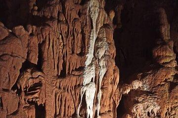 Natural History Guided Tour Cave & Nature of Petralona Halkidiki