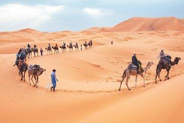 2 Day Private Sahara Adventure from Fez to Merzouga and Back