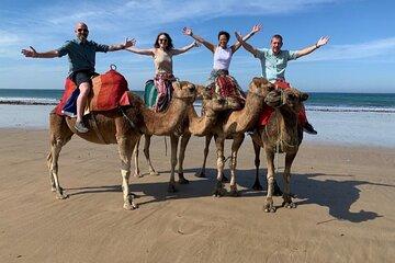 7 Nights Of The Best Of Morocco