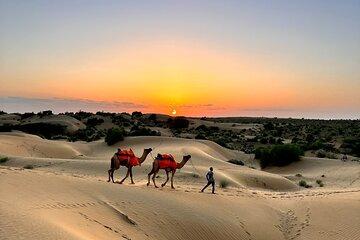 Non Tourist Desert Camel Safari And Night Stay Under The Stars