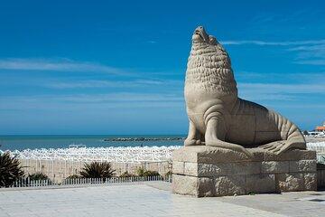 Astor Piazzolla Airport (MDQ) Private Transfer to Mar Del Plata