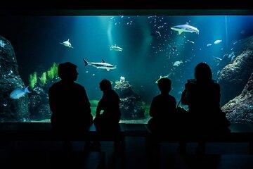 Gothenburg Universeum Ticket - Aquarium, Science, Wildlife, Zoo