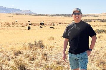 Private Antelope Island & Great Salt Lake Tour