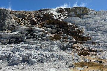 Private Yellowstone Park Van Tours from Bozeman and Big Sky