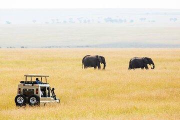 3 Days Small Group Safari to Serengeti NP and Ngorongoro Crater