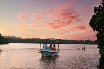 Muthurajawela Bird Watching Day Tour from Colombo or Negombo
