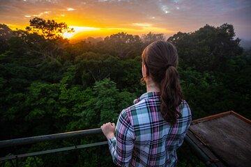 Puerto Maldonado : Tour Tambopata's Macaw Jungle Cusco | 3 Days
