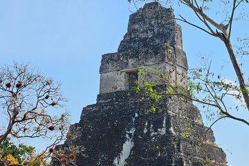 Guided Tour of Tikal from Mayan World Airport
