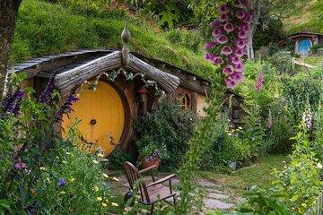 2 Day Hobbiton Waitomo Caves Raglan Private Tour from Hamilton